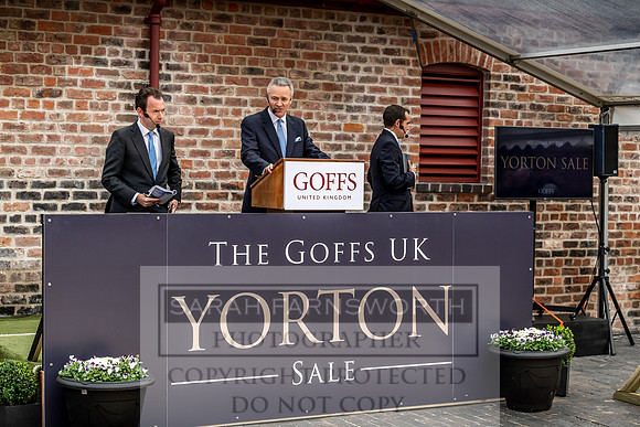 GUK Yorton Sale 2019-270
