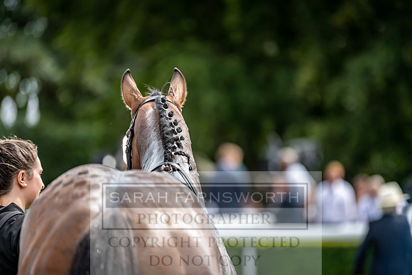 GUK Goodwood Sale 2019-120
