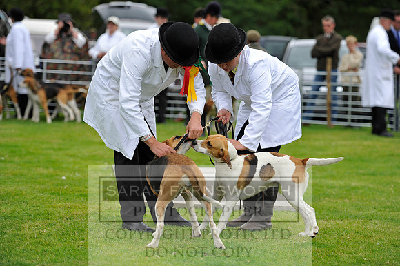 Rydal 2014 CF2 436