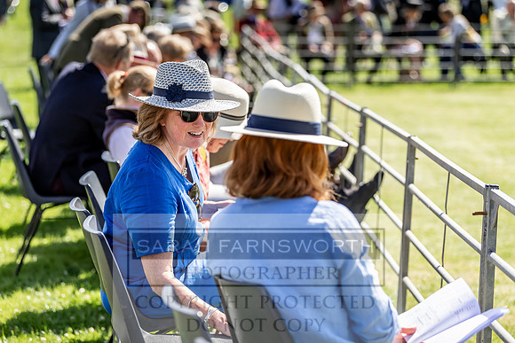 Builth Hound Show 2019-30