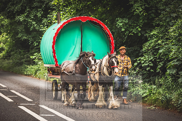 Gypsy Caravan-1