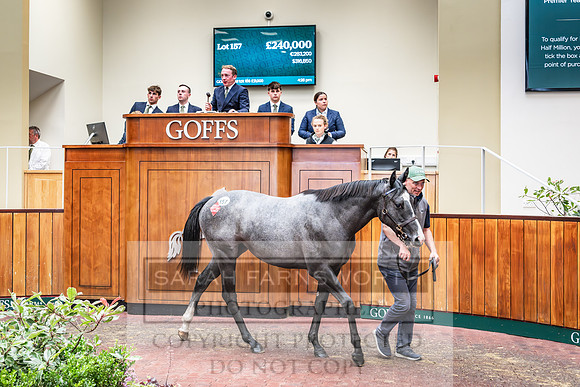 Goffs UK PY24-176