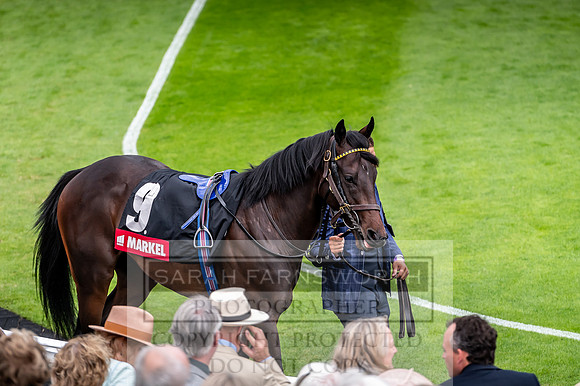 GUK Goodwood Sale 2019-2