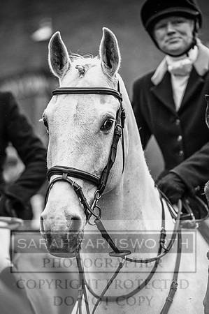 Ludlow 261215-60 bw