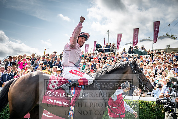 GUK Goodwood Sale 2019-177