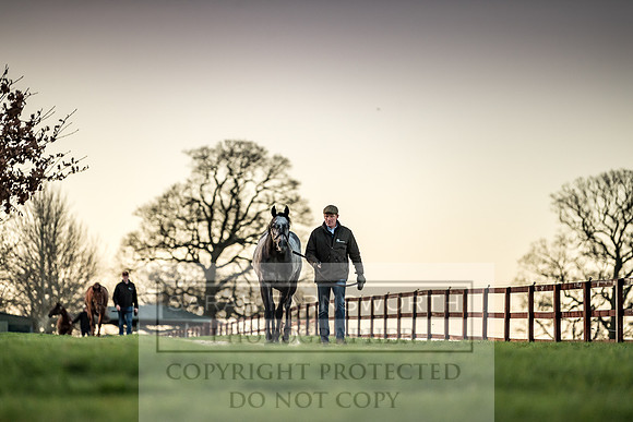 Tweenhills January 2019-66