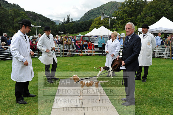 Rydal 2014 CF1 368