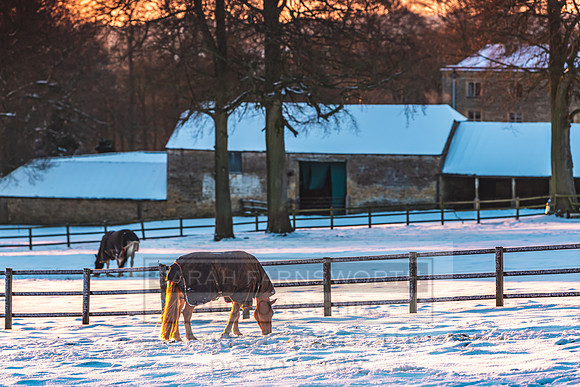 Snowy Cotswolds January 2021-18