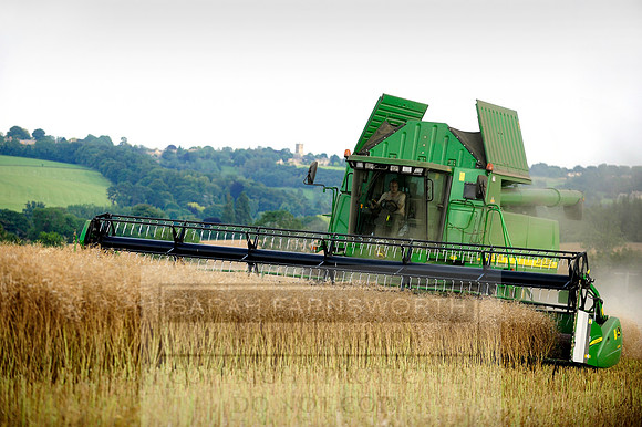combining r-oil 026