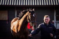 Goffs UK Breeze Up 2022-19