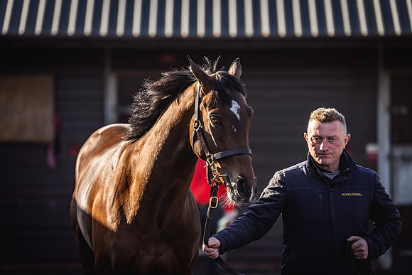 Goffs UK Breeze Up 2022-19