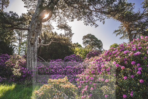 Cotswolds May 2020-18