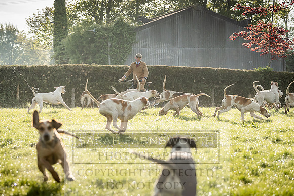 Heythrop Kennels-12