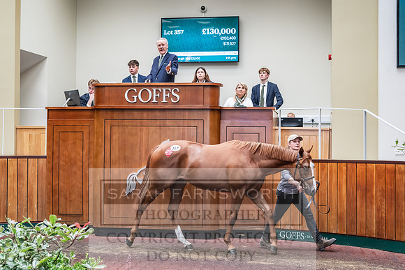 Goffs UK PY24-465