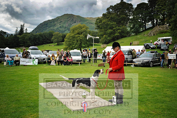 Rydal 2014 CF1 606