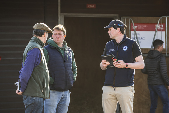Goffs UK Breeze Up 2022-57