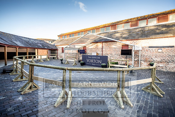GUK Yorton Sale 2019-4