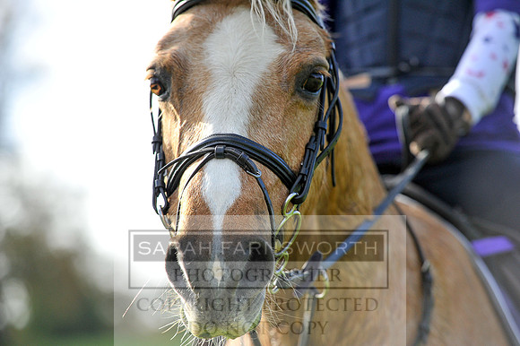 Heythrop Fun Ride 2014-272