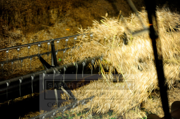 combining r-oil 062