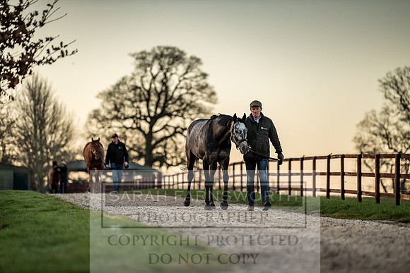 Tweenhills January 2019-56