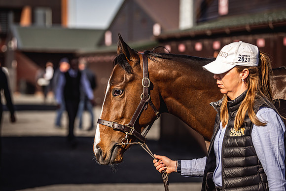 Goffs UK Breeze Up 2022-67