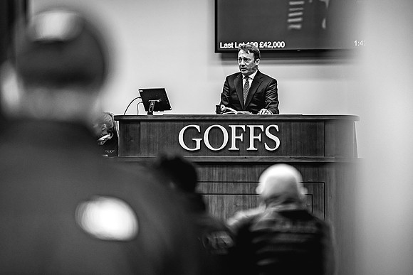 Goffs UK Breeze Up 2022-289