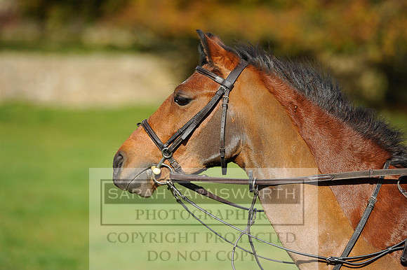 Heythrop Fun Ride 2014-263