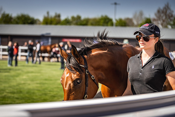 Goffs UK Breeze Up 2022-327