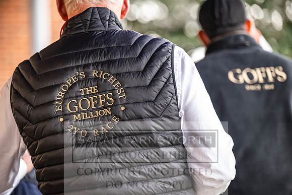 Goffs UK PY24-186