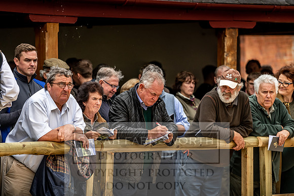 GUK Yorton Sale 2019-321