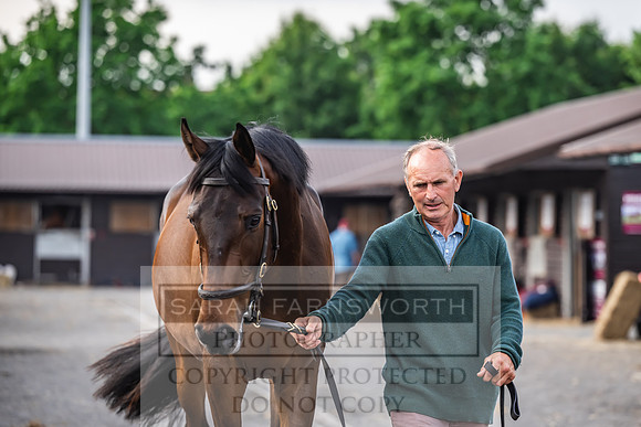 Goffs UK Spring Sale 2024-187