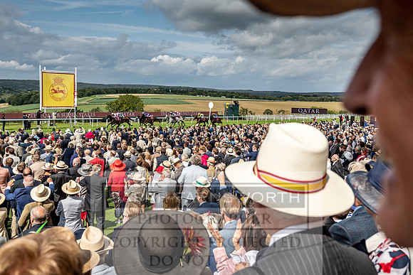GUK Goodwood Sale 2019-152