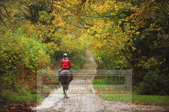 Autumn Snow 024