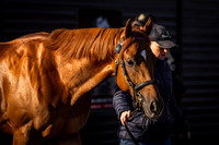 Goffs UK Breeze Up 2022-16