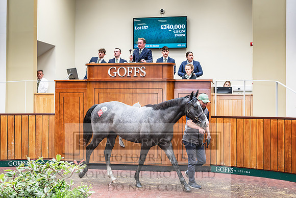 Goffs UK PY24-175