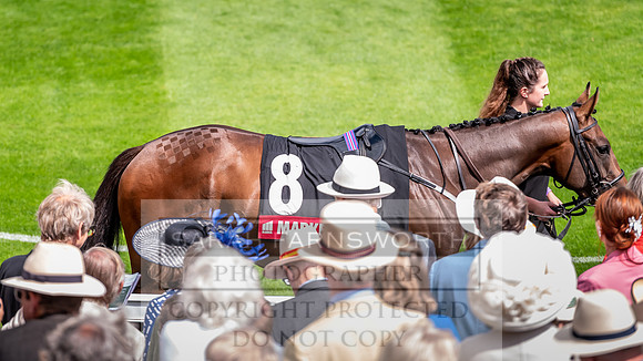 GUK Goodwood Sale 2019-4