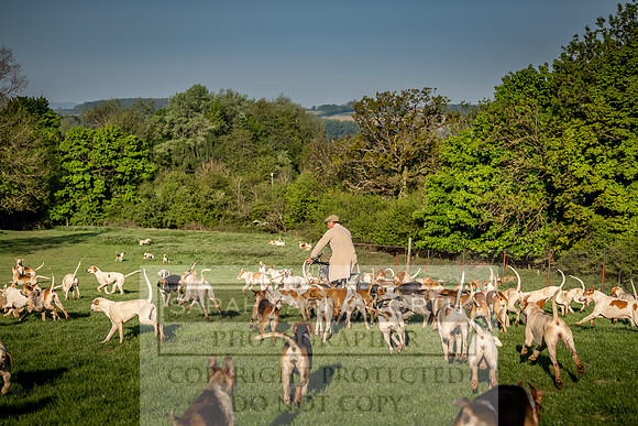 Heythrop Kennels-17