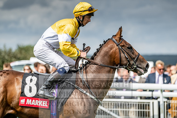 GUK Goodwood Sale 2019-98