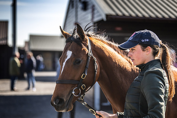Goffs UK Breeze Up 2022-153