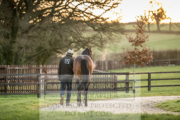 Tweenhills January 2019-74