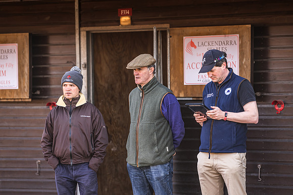 Goffs UK Breeze Up 2022-23