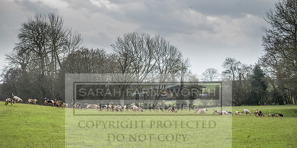 Ludlow 261215-506