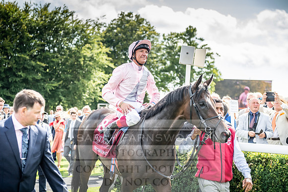 GUK Goodwood Sale 2019-170
