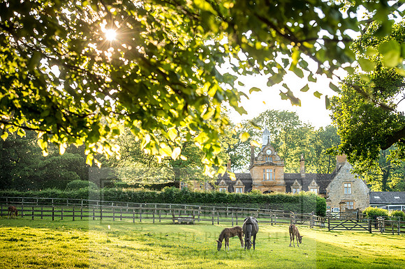 Cotswolds June 2017-2