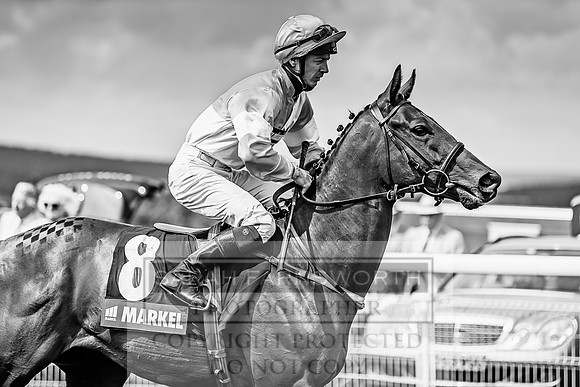 GUK Goodwood Sale 2019-96