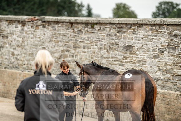 GUK Yorton Sale 2019-126