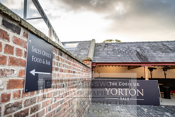 GUK Yorton Sale 2019-8