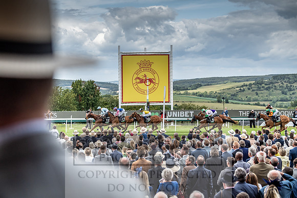 GUK Goodwood Sale 2019-15