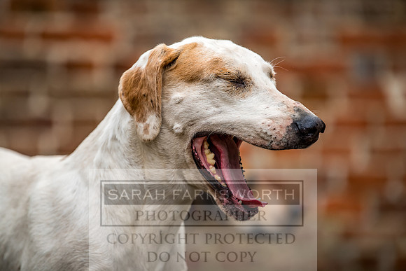 Ledbury 090318-641