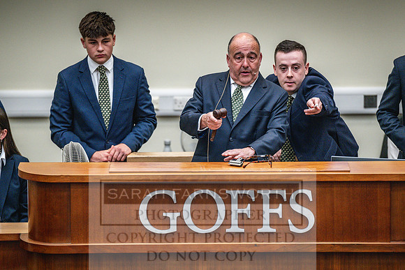 Goffs UK PY24-385
